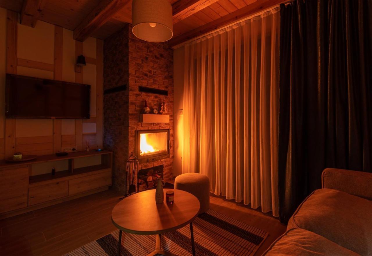 Mila House Tara Villa Bajina Basta Kültér fotó