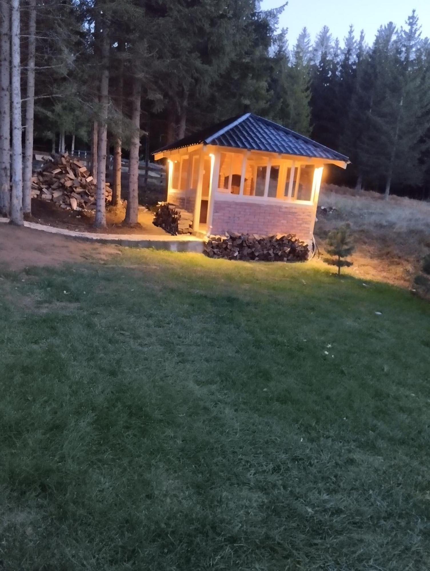 Mila House Tara Villa Bajina Basta Kültér fotó